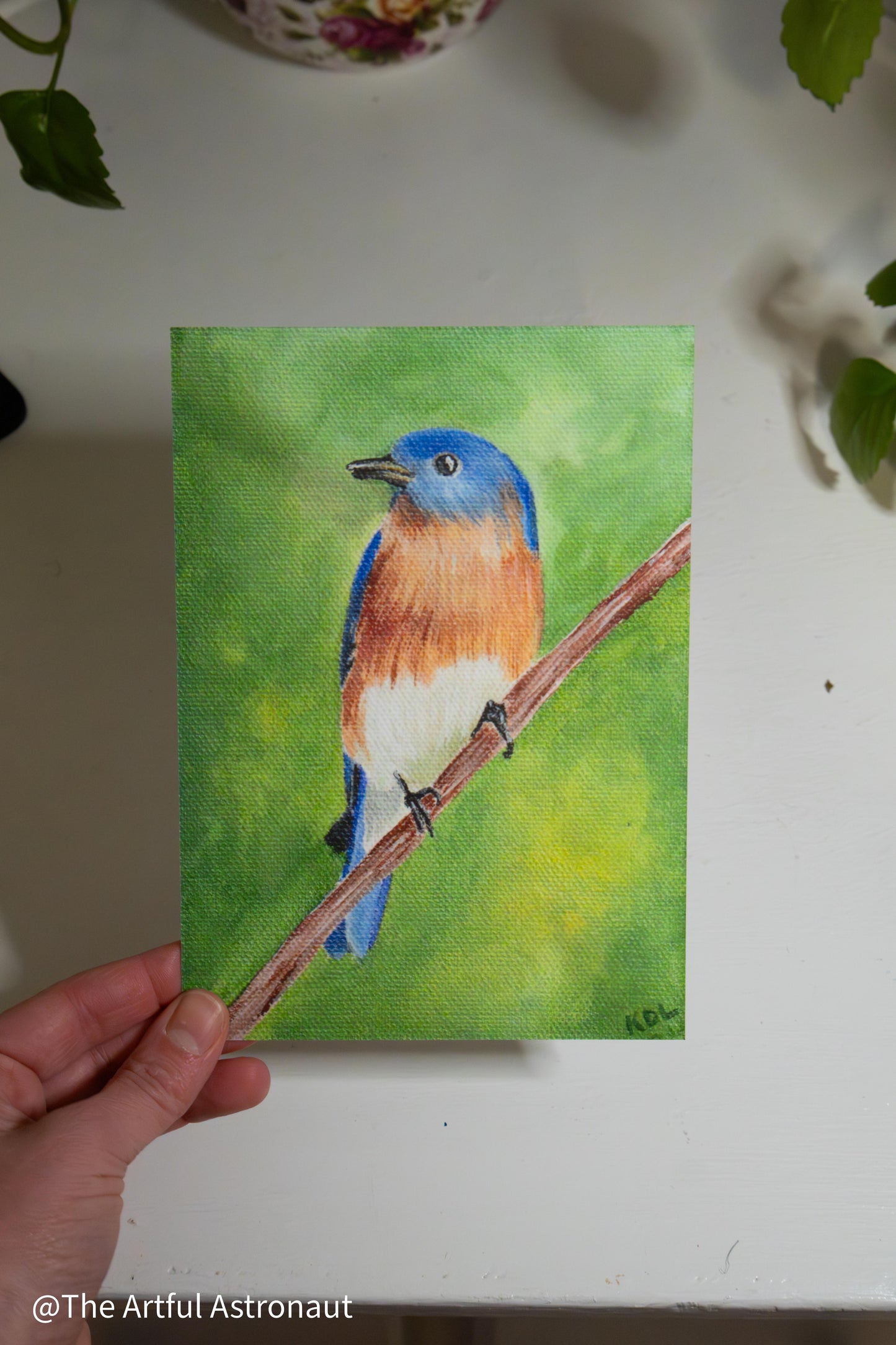 Eastern Bluebird Print