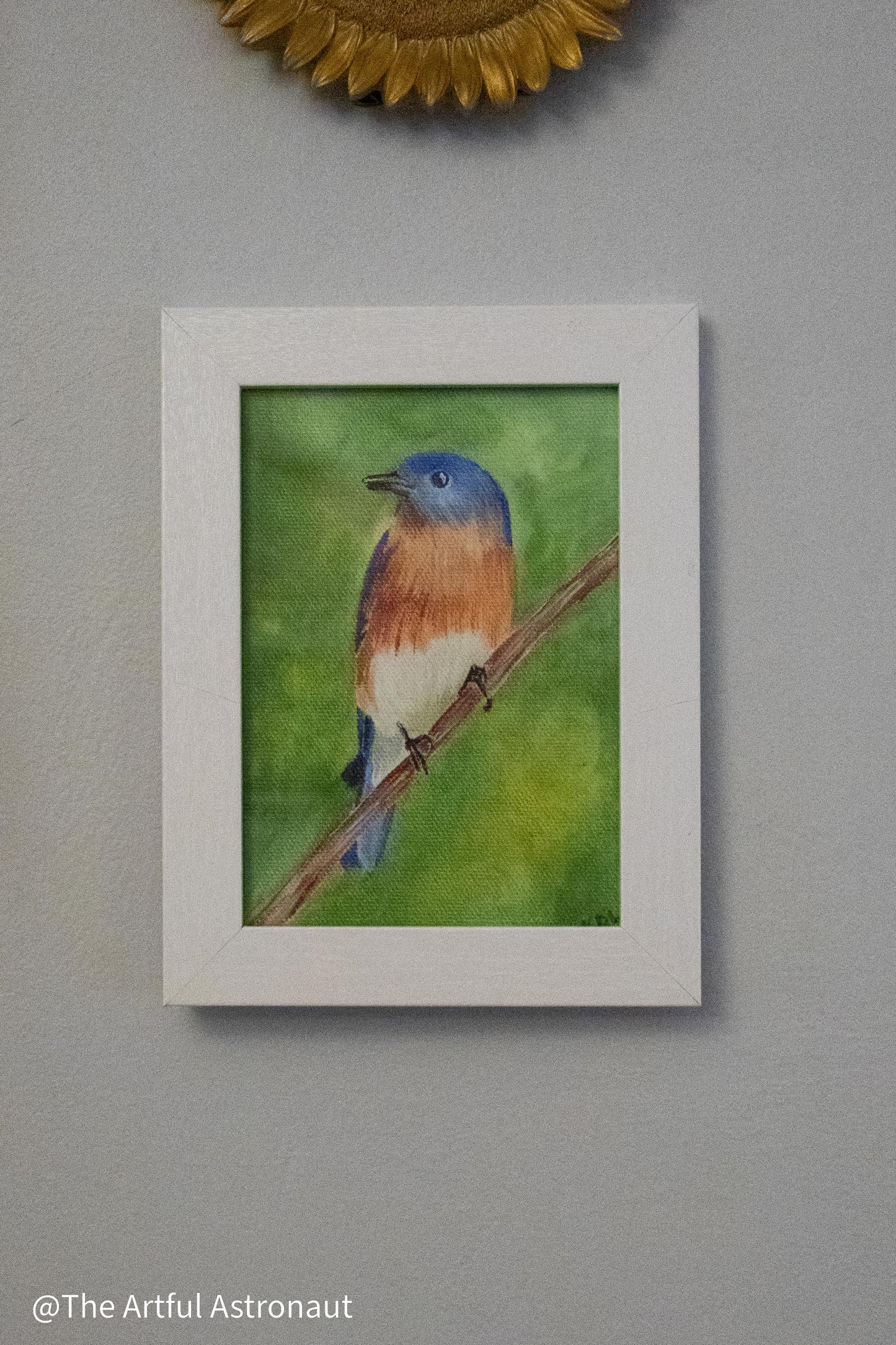 Eastern Bluebird Print