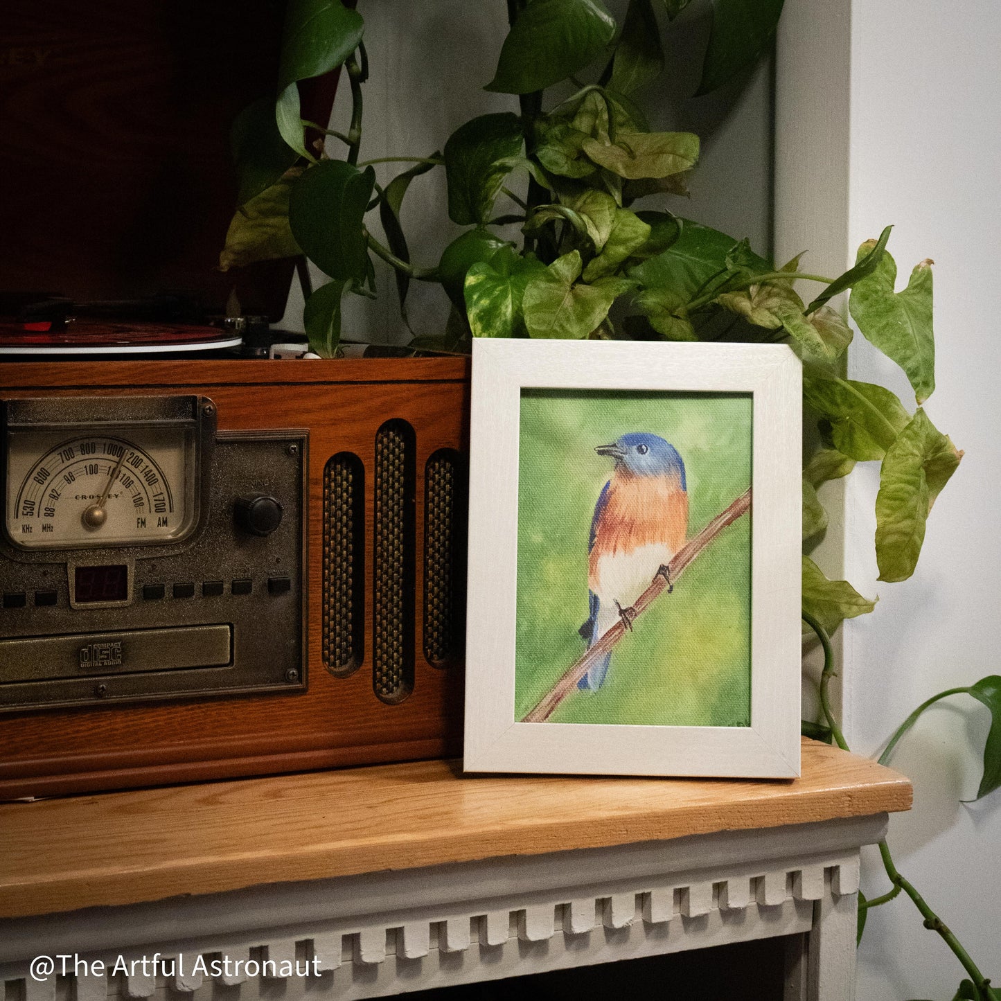 Eastern Bluebird Print
