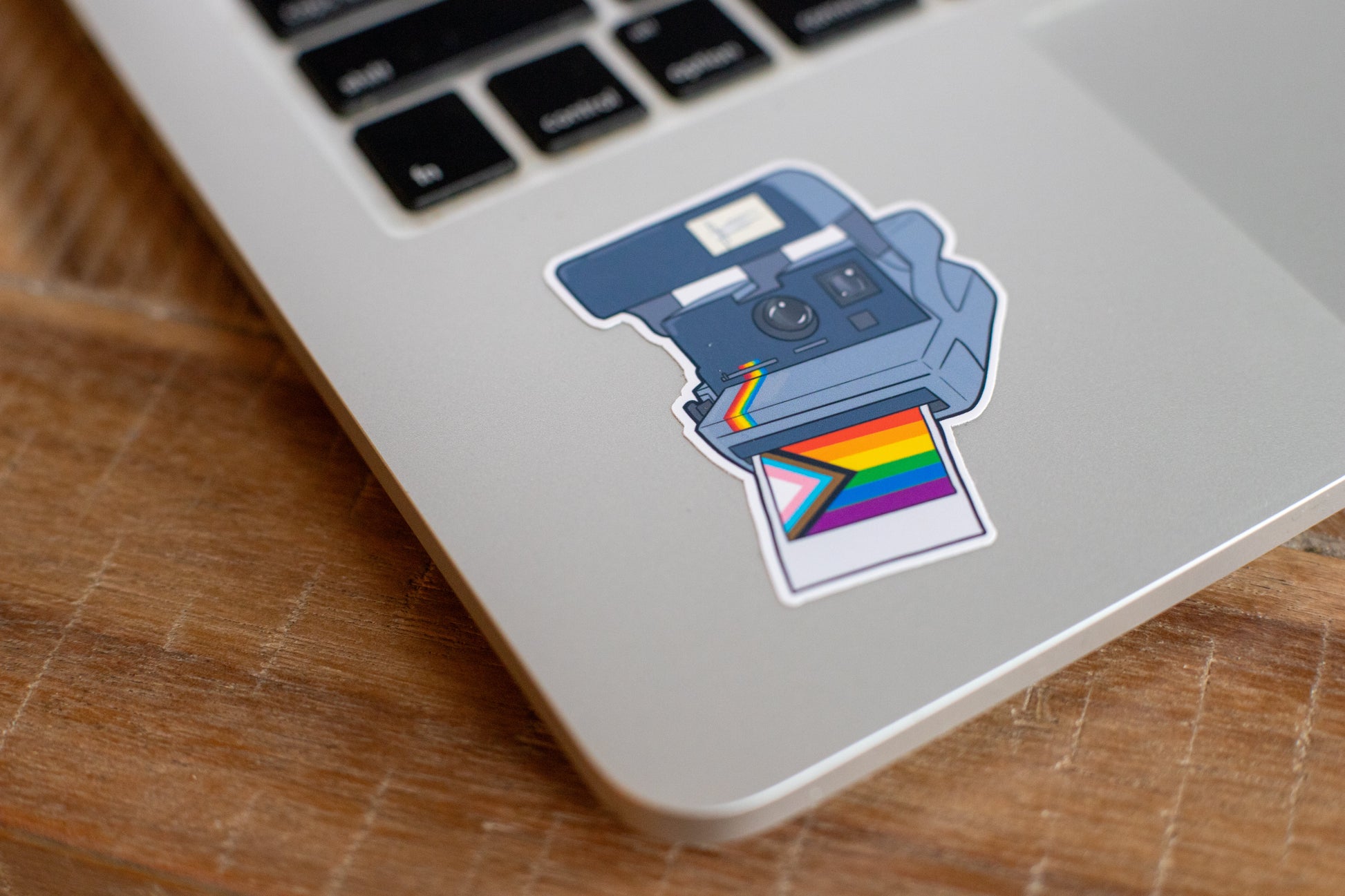 Polaroid Pride Sticker