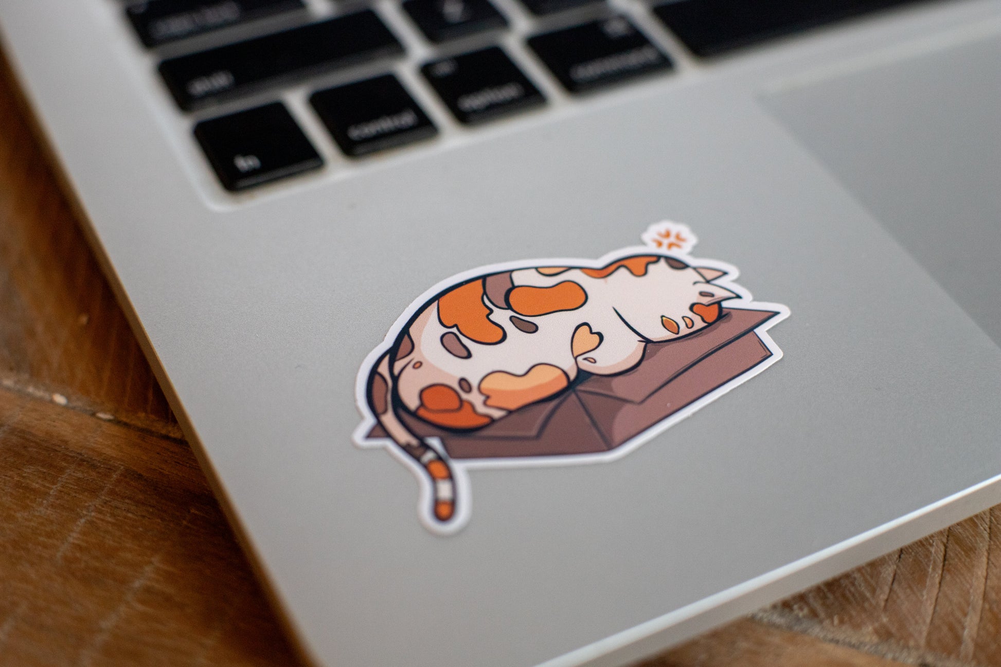 Cat Sticker